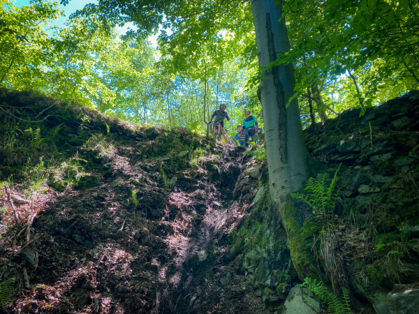 Grupy Hobby NIE pojadą jednak OS 3